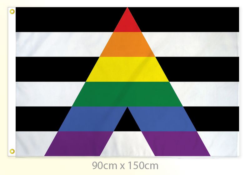 LGBT+ ally flag large 36x60