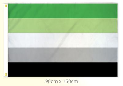 Aromantic Pride Flag Large 36x60