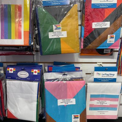 Grands drapeaux 36x60