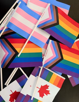 Petits drapeaux 4x6 sur tige (papier)
