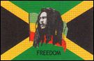 Bob Marley 12x18