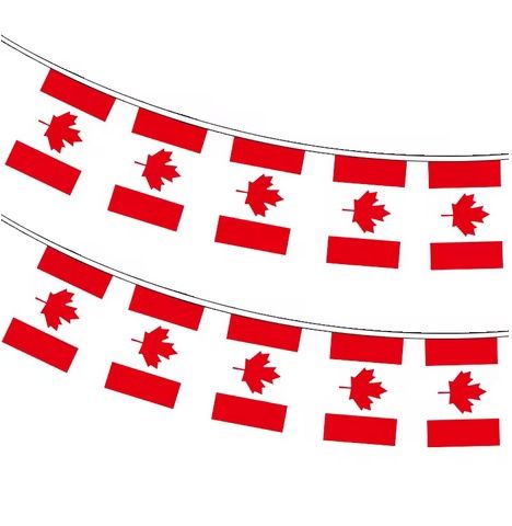 Canada pennants on rope/ Canada flag string - polyester