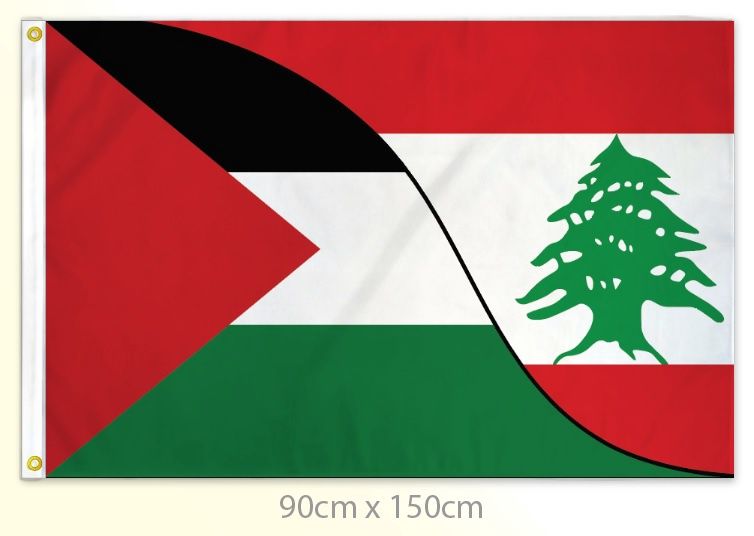 Palestine solidarity flag large 36x60