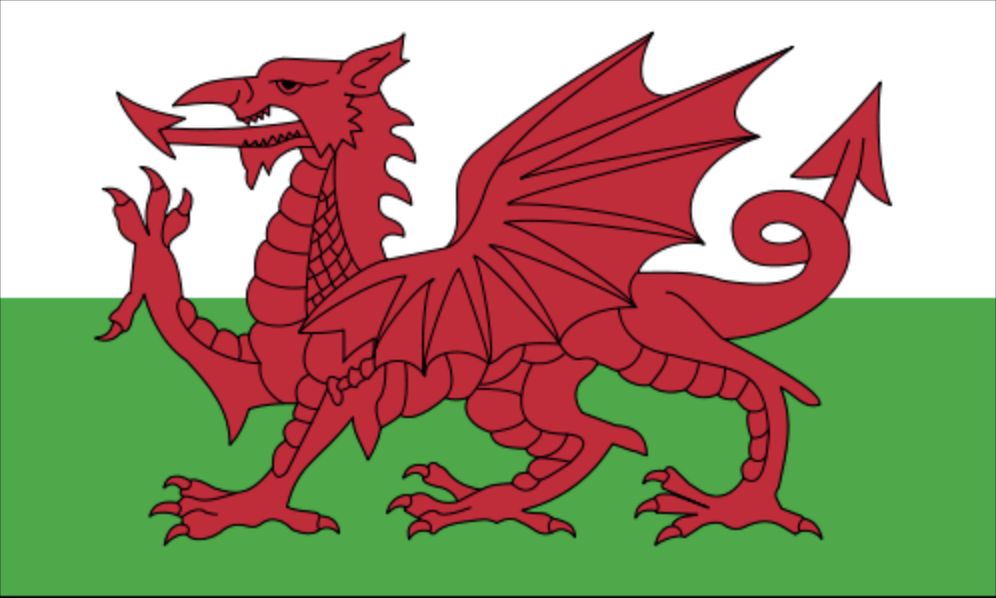 Wales/Wales flag medium 12x18