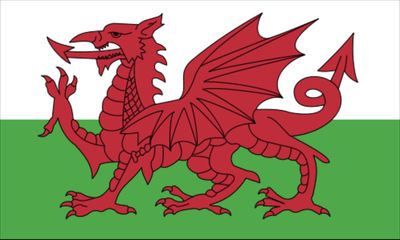 Standard Wales sticker