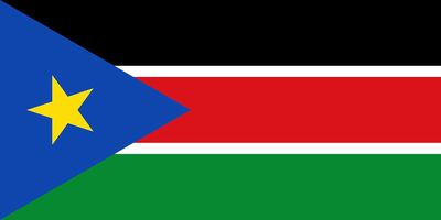 South Sudan small standard flag 4x6