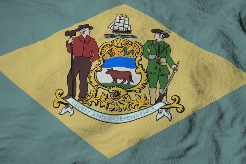 Delaware small flag 4x6