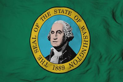 Washington small flag 4x6