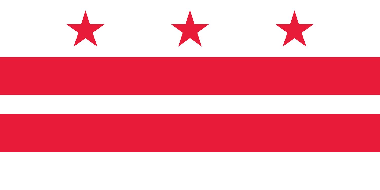 Washington DC small flag 4x6