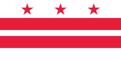 Washington DC small flag 4x6