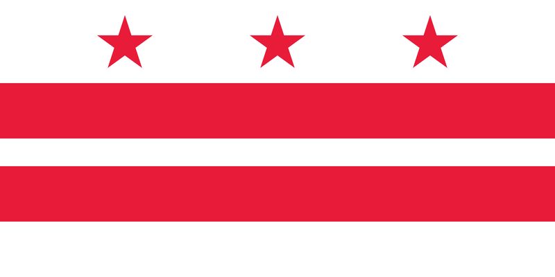 Washington DC small flag 4x6