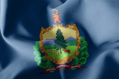 Vermont small flag 4x6