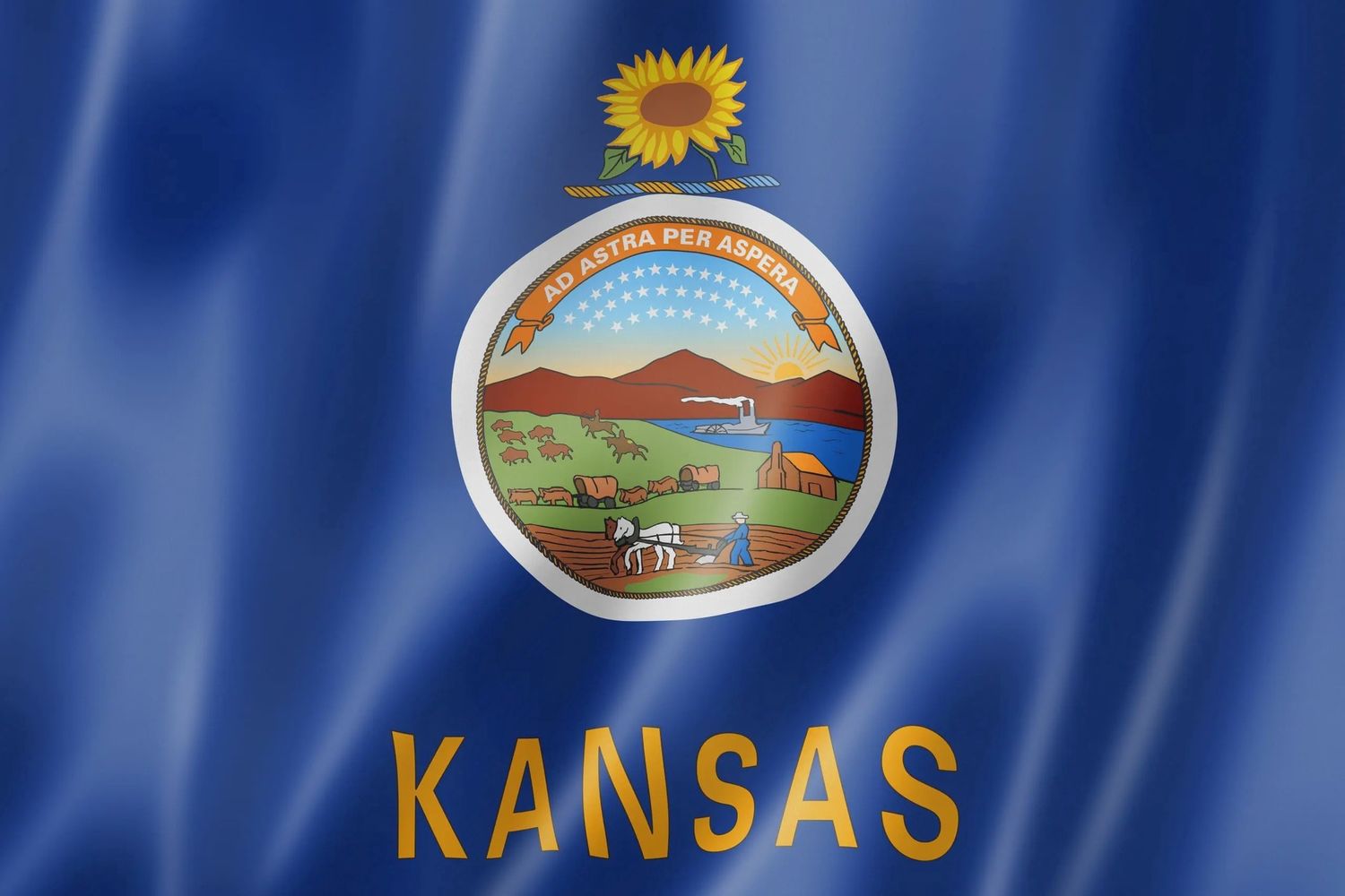 Kansas small flag 4x6