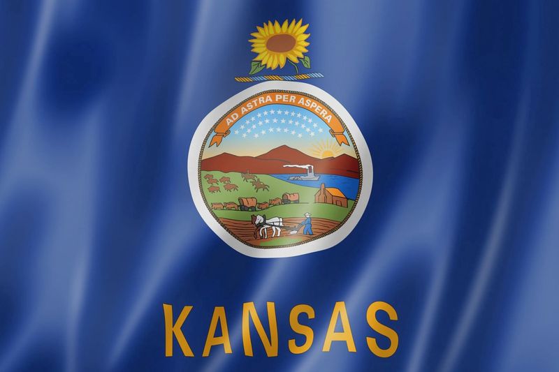 Kansas small flag 4x6