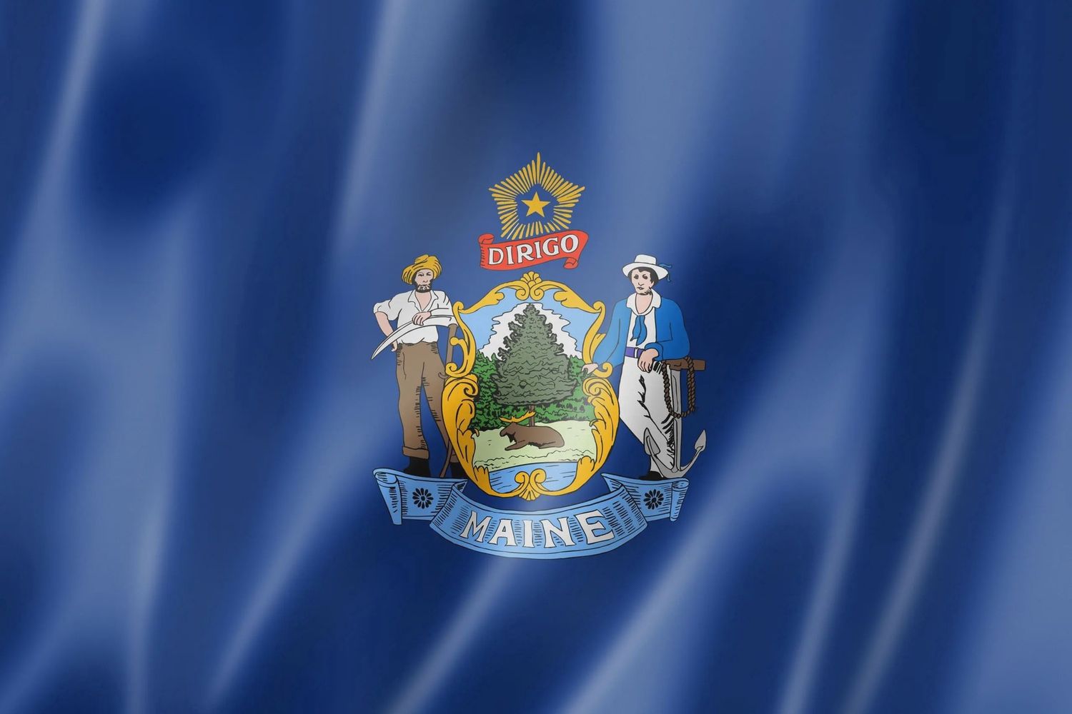 Maine small flag 4x6