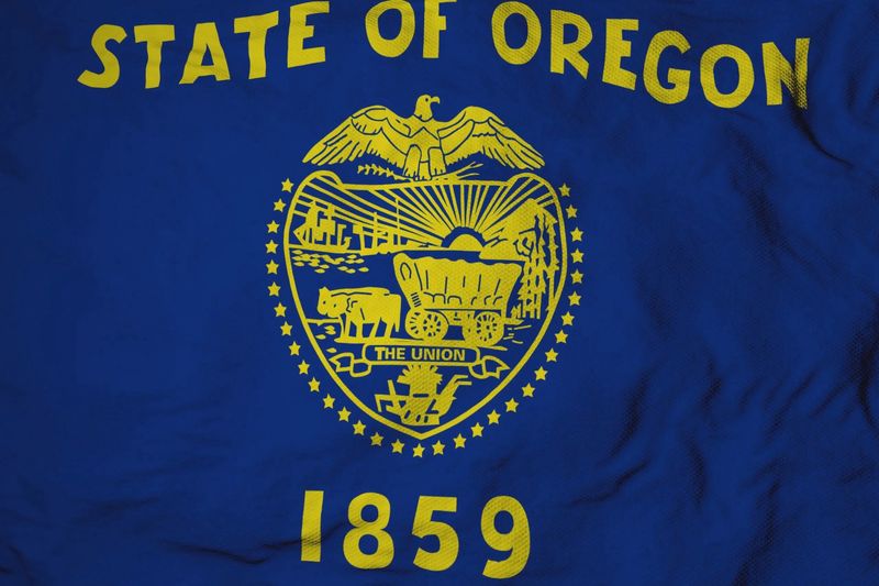 Oregon small flag 4x6