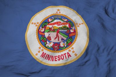 Minnesota small flag 4x6