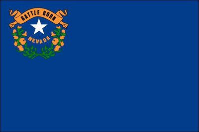 Nevada small flag 4x6