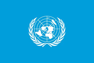 United Nations small standard flag 4x6