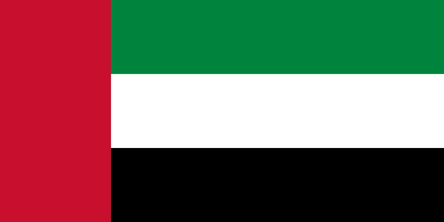 United Arab Emirates flag medium 24x36