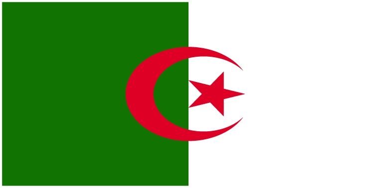 Algeria flag large 36x72