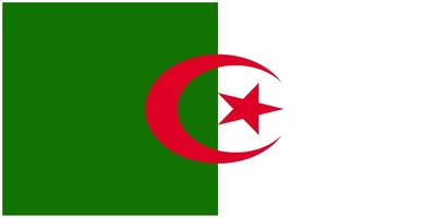 Algeria flag large 36x72