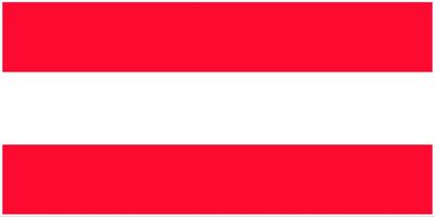 Austria flag large 36x72 S