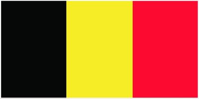 Belgium flag large 36x72 H