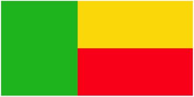 Benin flag large 36x72
