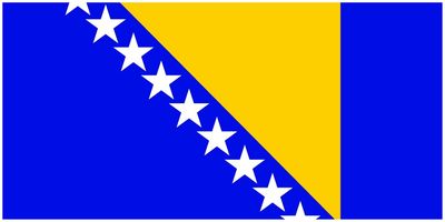 Bosnia and Herzegovina flag large 36x72 S