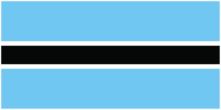 Botswana flag large 36x72