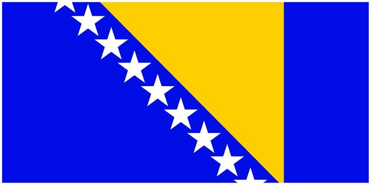 Bosnia and Herzegovina flag large 36x72 A