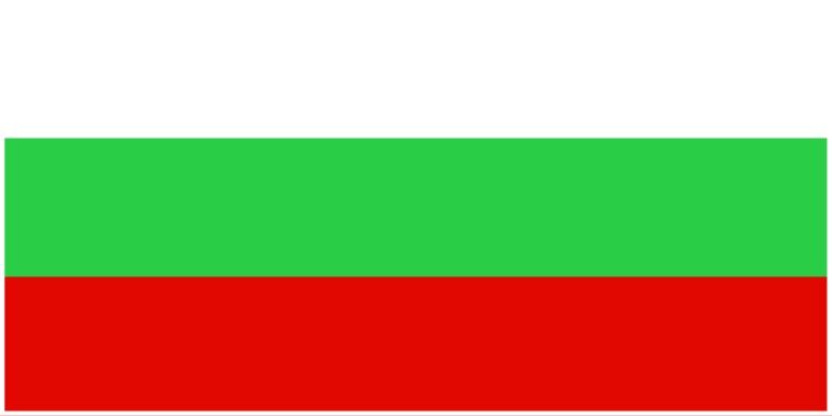 Bulgaria flag large 36x72