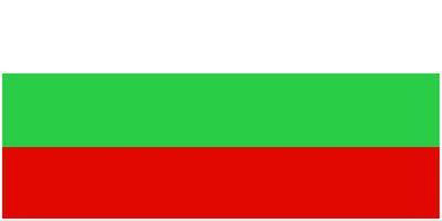 Bulgaria flag large 36x72