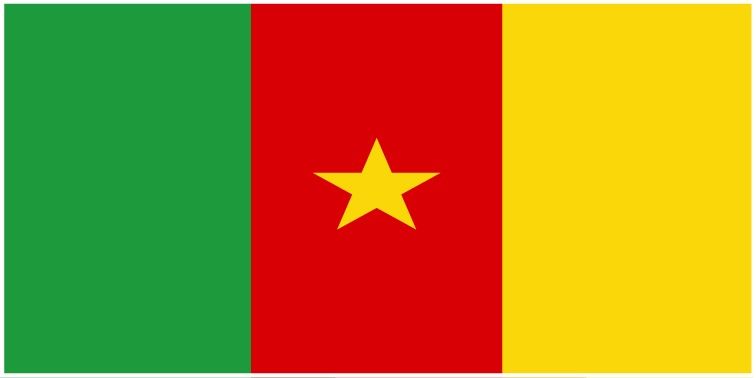 Cameroon flag large 36x72