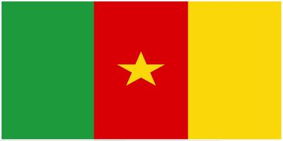 Cameroon flag large 36x72
