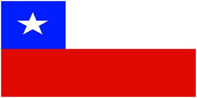 Chile flag large 36x72