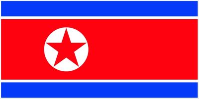 North Korea flag large 36x72