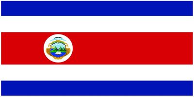 Costa Rica flag large 36x72