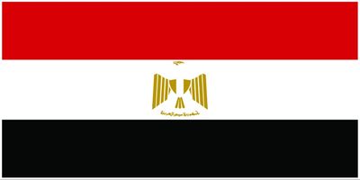 Egypt/ Egypt 36x72&#39;&#39; (90x180 cm) nylon 200D, rope and toggle/ rope and toggle - special order