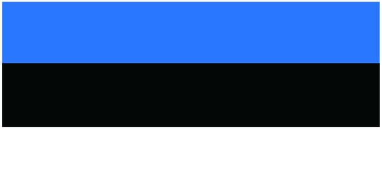 Estonia flag large 36x72