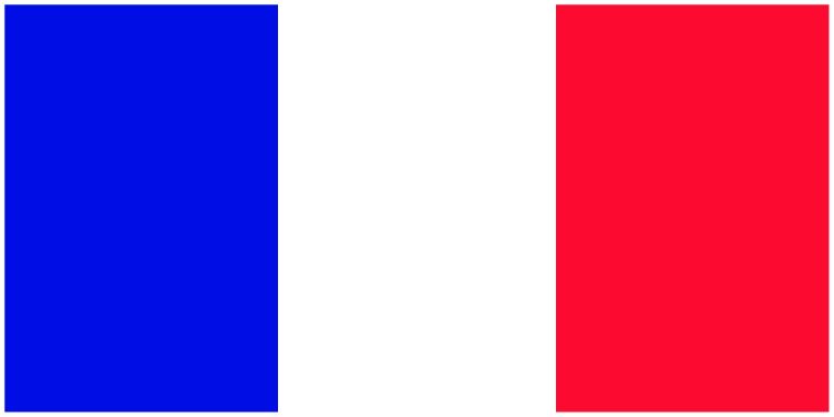 France flag large 36x72 S