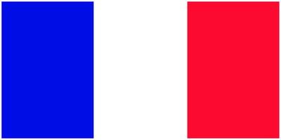 France flag large 36x72 S