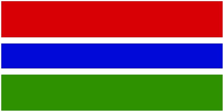 Gambia flag large 36x72