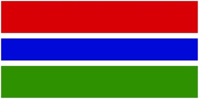 Gambia flag large 36x72
