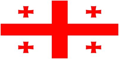 Georgia flag large 36x72
