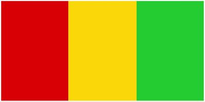 Guinea (Conakry) flag large 36x72