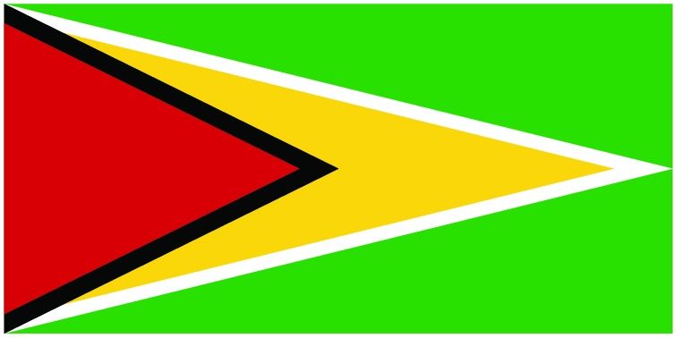 Guyana flag large 36x72
