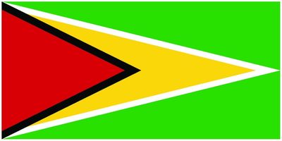 Guyana flag large 36x72