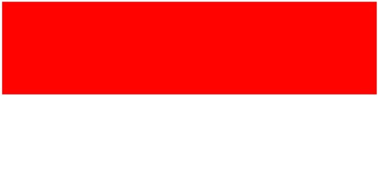 Indonesia flag large 36x72